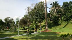 Stevens Road (D10), Detached #499360461